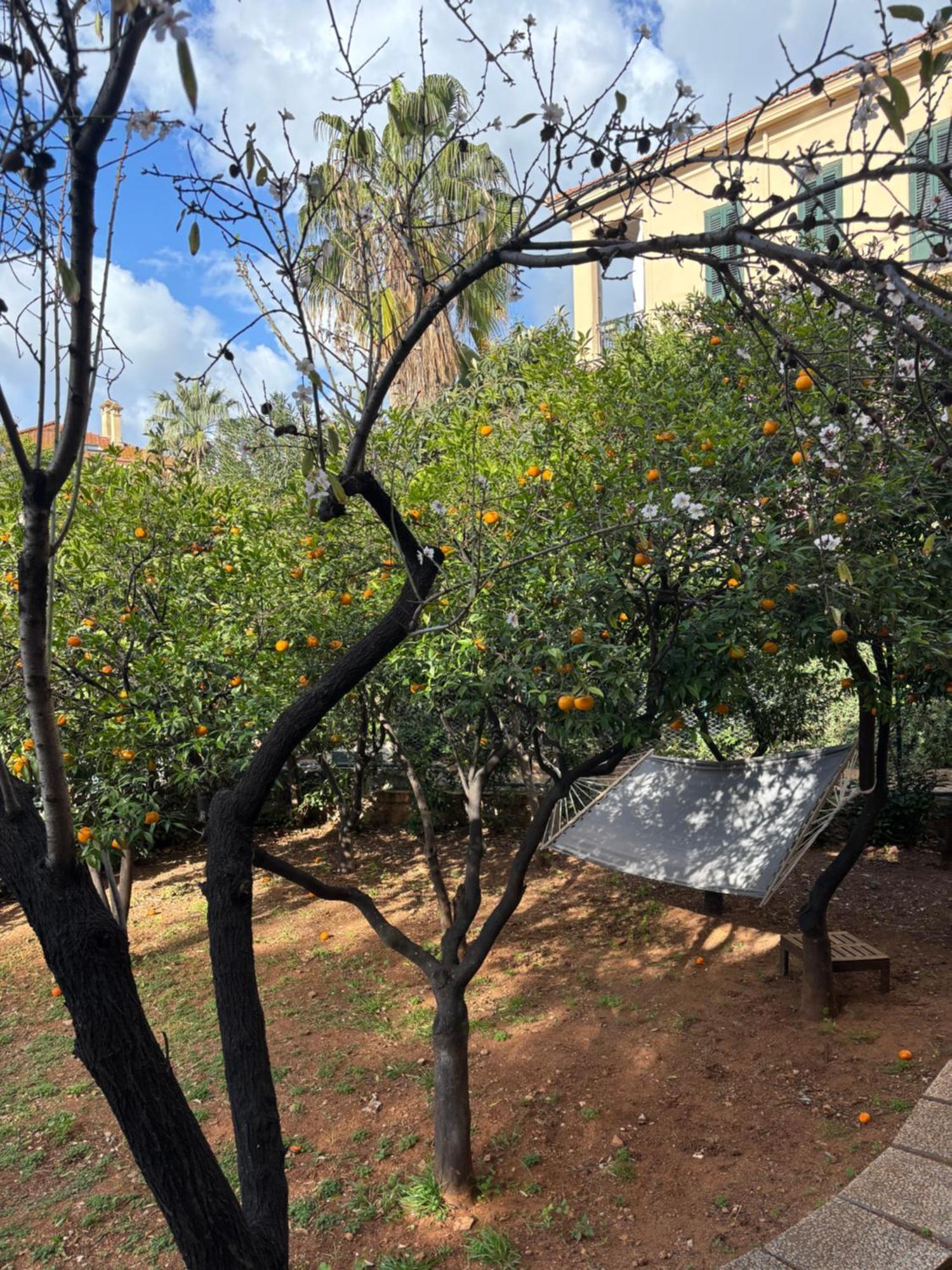Appartamento Matteotti Living And Garden Palermo Esterno foto
