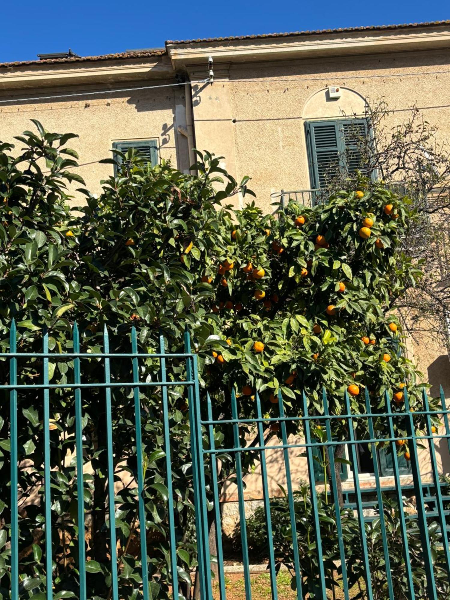 Appartamento Matteotti Living And Garden Palermo Esterno foto