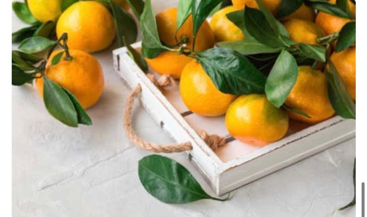 Appartamento Matteotti Living And Garden Palermo Esterno foto