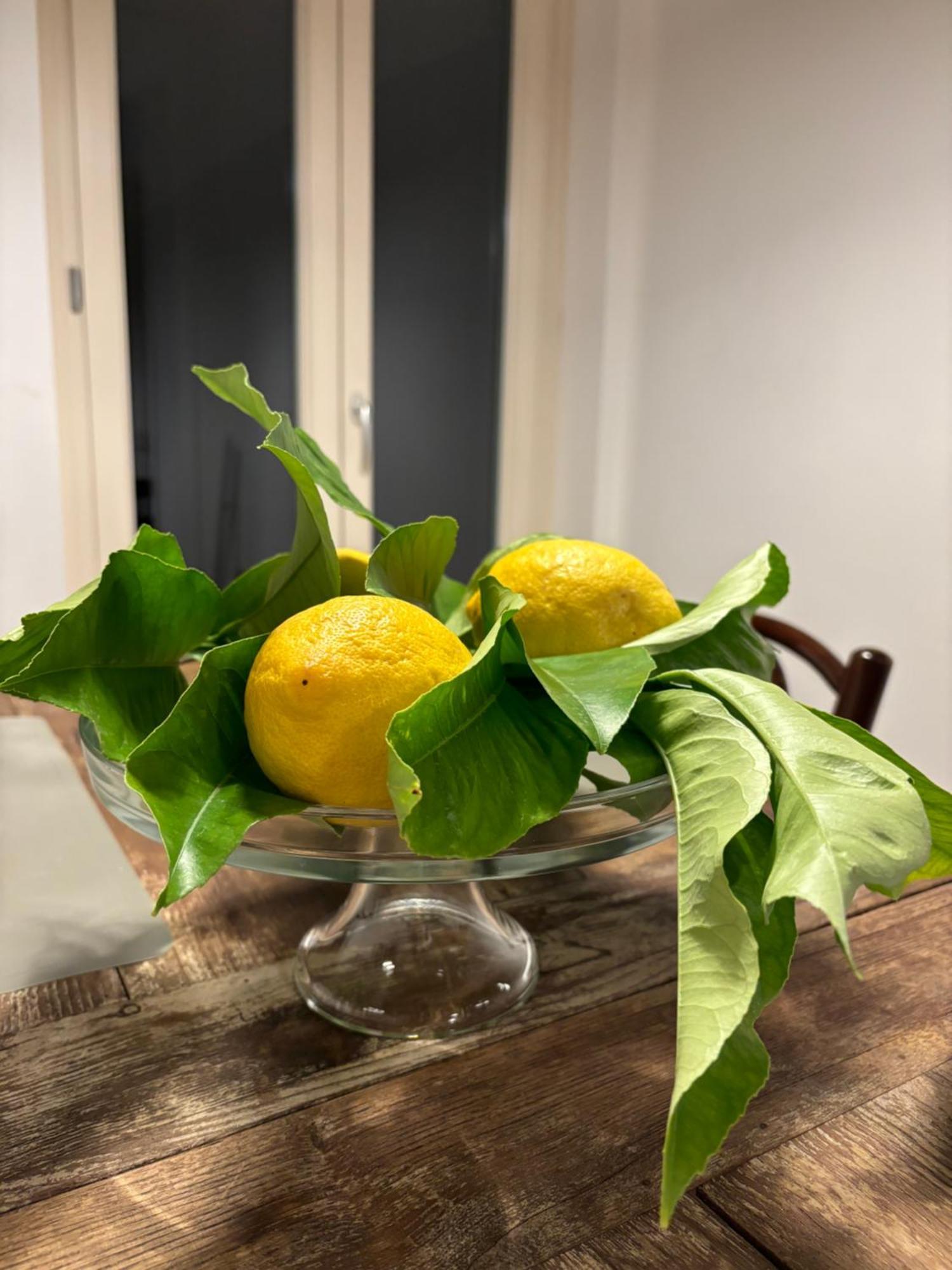Appartamento Matteotti Living And Garden Palermo Esterno foto